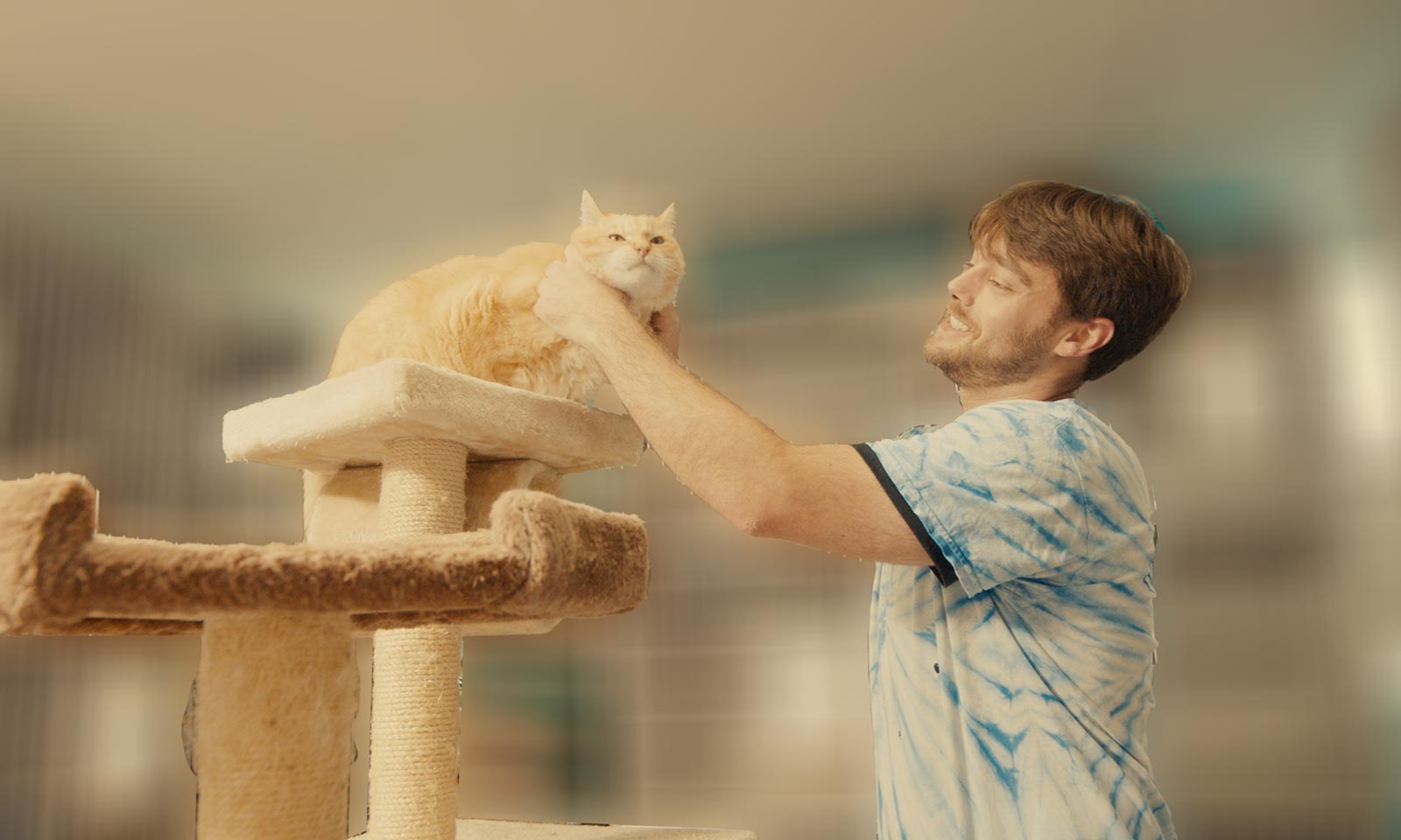 A cat in our kitty kennels