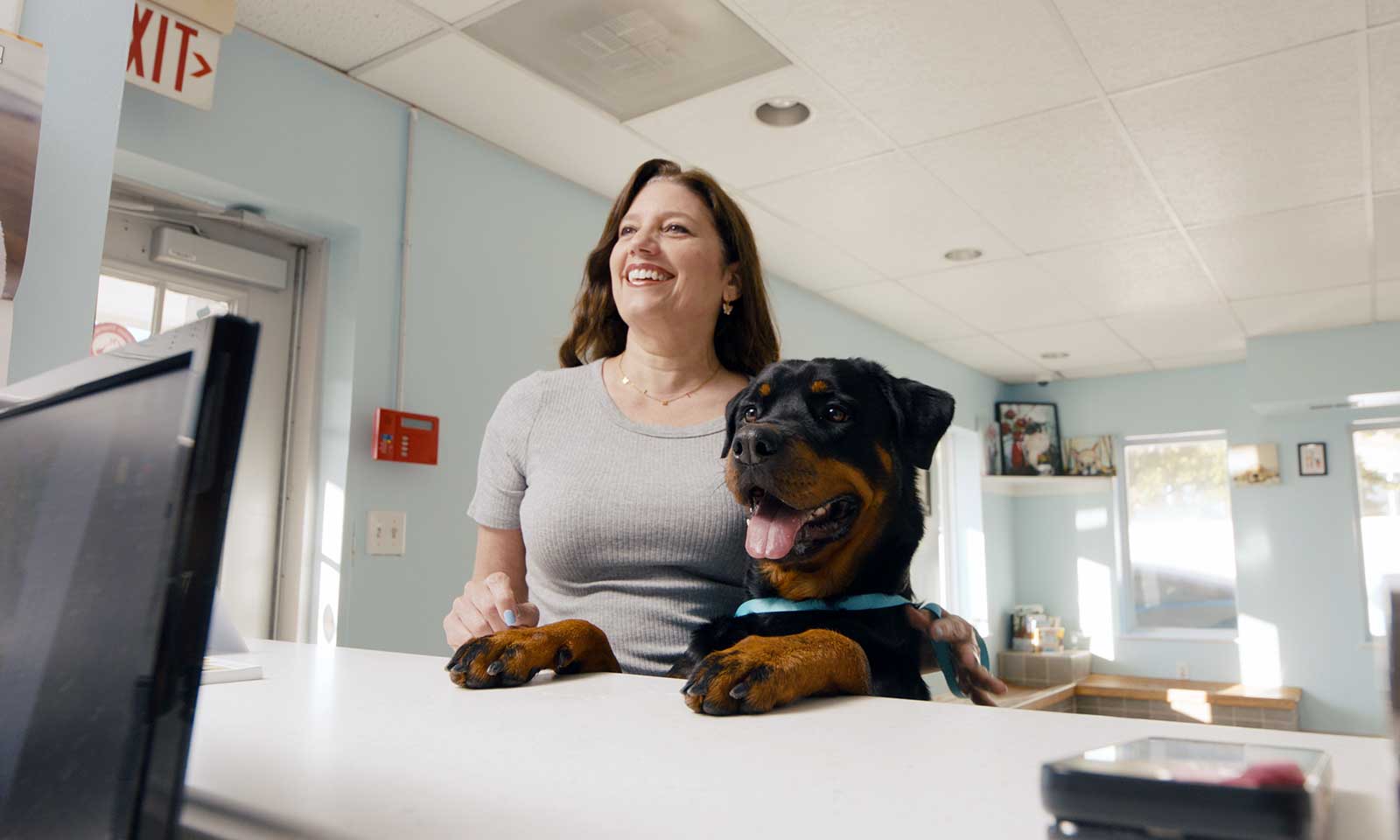 A canine patient checking in