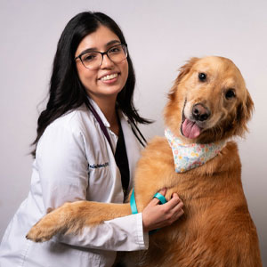 Andrea Franco, DVM, Veterinarian