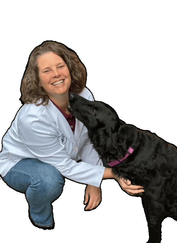 Greta Stamberg, DVM, Veterinarian Greta Stamberg, DVM, Veterinarian
